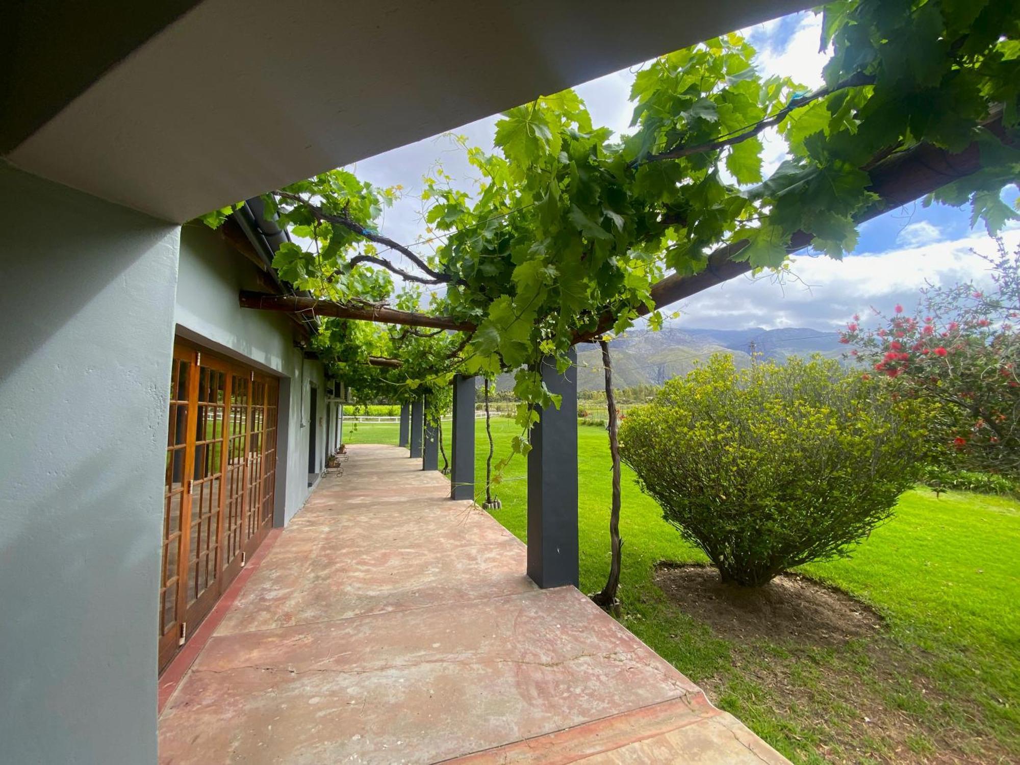 מלון ליידיסמית Oaksrest Vineyards Guest Farm מראה חיצוני תמונה